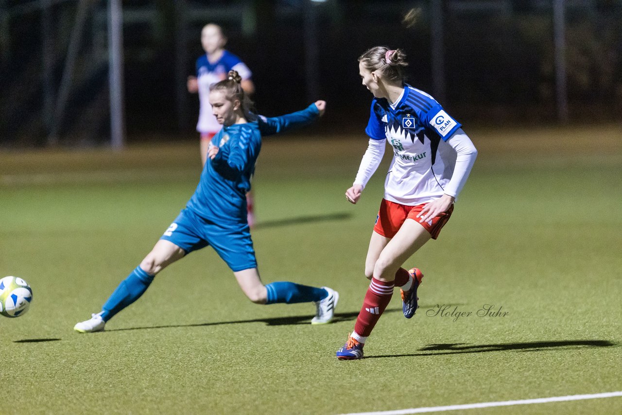 Bild 148 - F SC Alstertal-Langenhorn - Hamburger SV 3 : Ergebnis: 2:2